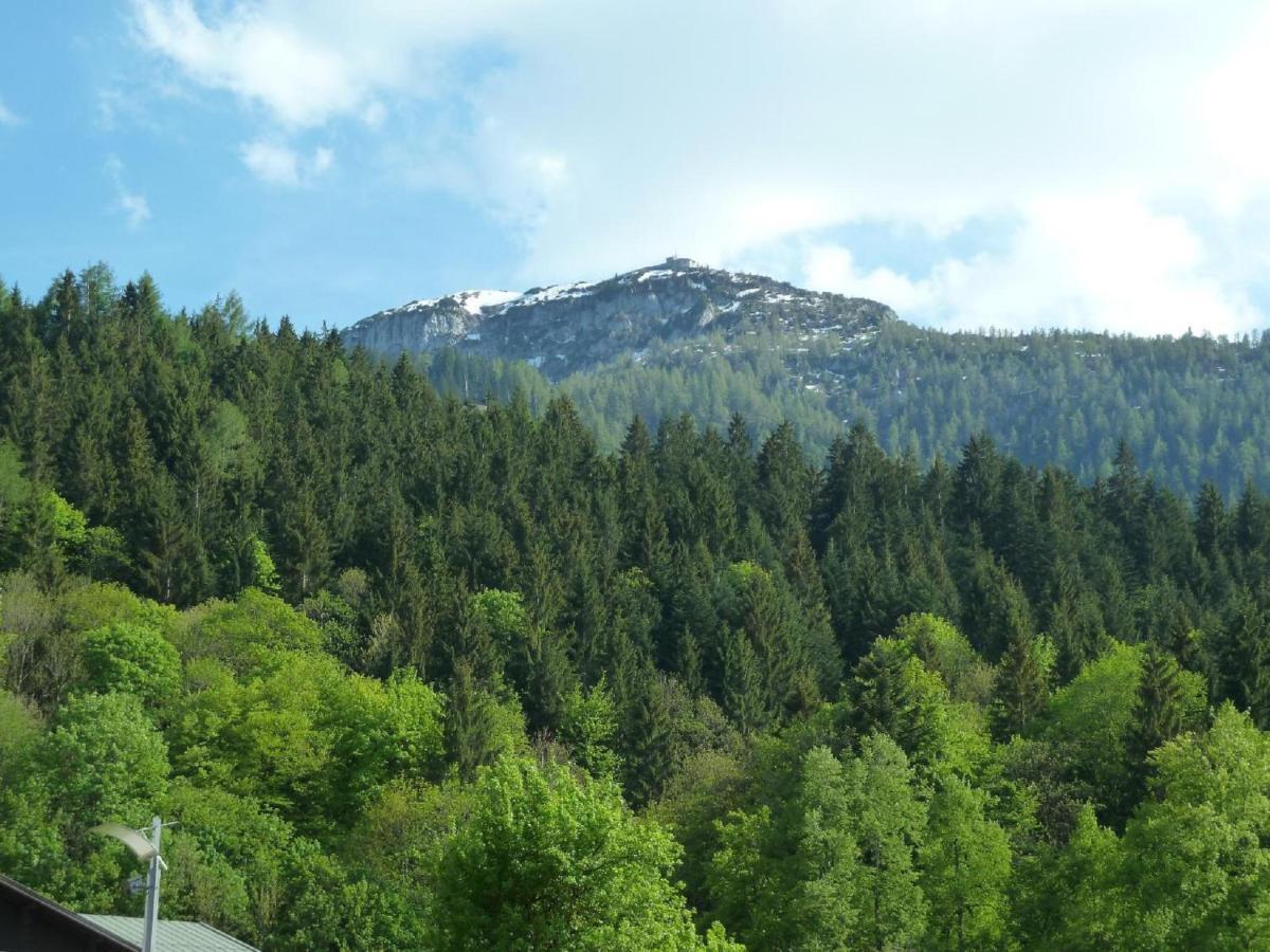 Ferienwohnung Mies Waldkirchen Zewnętrze zdjęcie